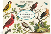 Stationery Set | Birds