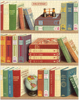 Library Books | 1000pc Puzzle