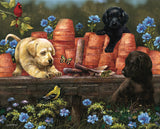 Puppies at Play | 1000pc Puzzle