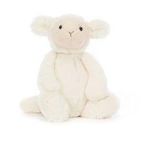 Bashful Lamb | Medium