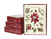Botanica Christmas | Boxed Cards Set of 10