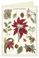 Botanica Christmas | Boxed Cards Set of 10