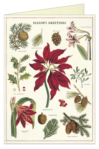 Botanica Christmas | Boxed Cards Set of 10