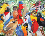 Birds Birds Birds | 1000pc Puzzle