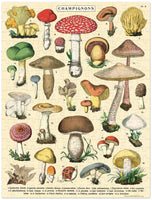 Mushroom | 240pc Mini Puzzle