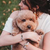 Paws Natural & Silver Hair Tie Bracelet Set | M