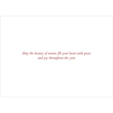 Winter Evergreens Holiday Cards | Boxed Set of 20