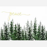 Winter Evergreens Holiday Cards | Boxed Set of 20