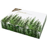 Winter Evergreens Holiday Cards | Boxed Set of 20