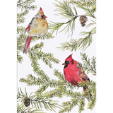 Cardinals in Evergreen Holiday Cards | Boxed Set of 20
