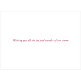 Midnight Cardinal Holiday Cards | Boxed Set of 20