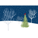 Midnight Cardinal Holiday Cards | Boxed Set of 20