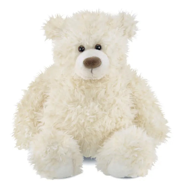 Scruffy the Teddy Bear