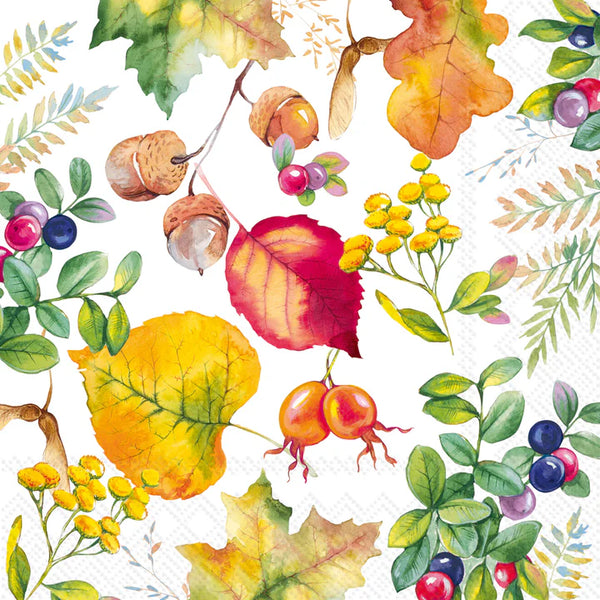 Harvest Season Cocktail Napkins=