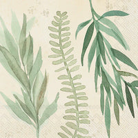 Leaf & Stem Leaves Cream Guest Towels