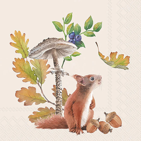 Fall Squirrel Cocktail Napkins