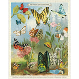World of Butterflies | 1000pc Puzzle