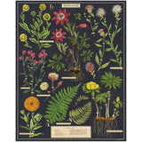 Herbarium | 1000pc Puzzle