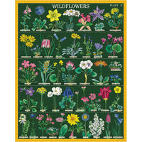 Wildflowers 2 | 1000pc Puzzle
