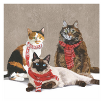 Scarf Cats Cocktail Napkins