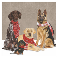 Scarf Dogs Cocktail Napkins