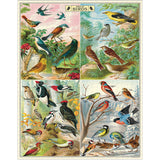 World of Birds | 1000pc Puzzle