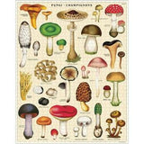 Mushrooms | 1000pc Puzzle