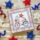 Starry Bike | Mini Gallery