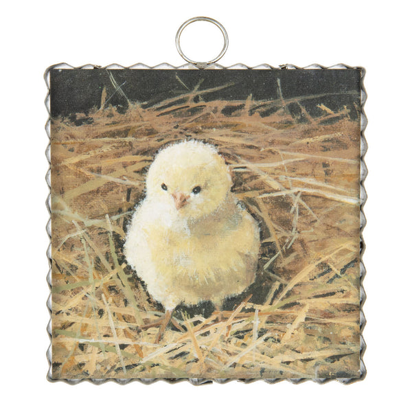 Baby Chick | Mini Gallery