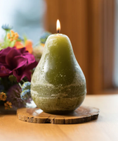 Timber Pear Candle | Moss