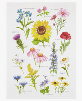 Wildflower Field Guide Kitchen Towel