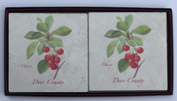 Door County Cherry Coasters Set