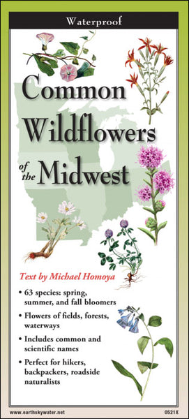 Common Wildflowers of the Midwest | FoldingGuide