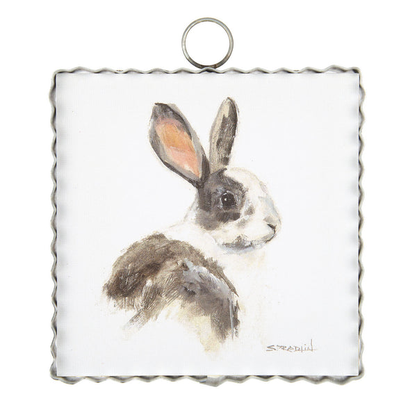 Miniature Dutch Rabbit Dutch Rabbit | Mini Gallery – Door County Nature Works