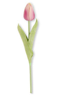 10.5" Mini Tulip Stem | Mauve