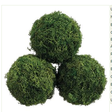 4" Moss Ball