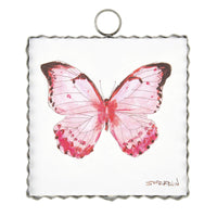 Pink Butterfly | Mini Gallery