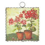 Potted Geraniums | Mini Gallery