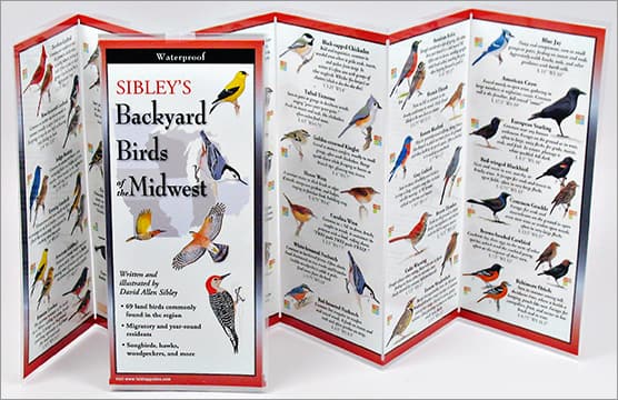 Sibley's Backyard Birds of the Midwest | FoldingGuide