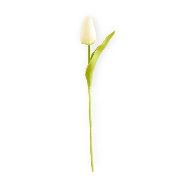 White Mini Tulip - 10.5"